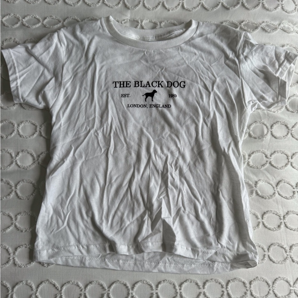 BRAND NEW Taylor Swift Baby Tee - TTPD